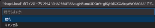 Remote Development